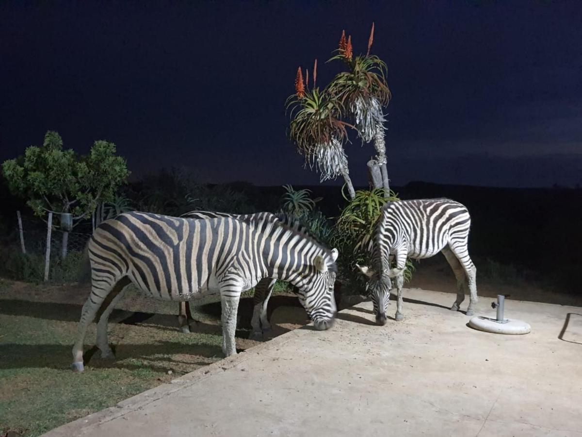 阿多库杜岭狩猎旅舍别墅 外观 照片